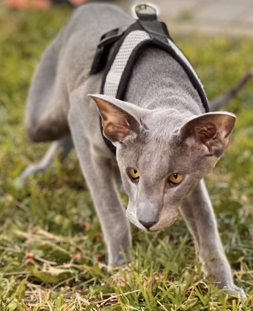 Photograph by Светлана Моисеева