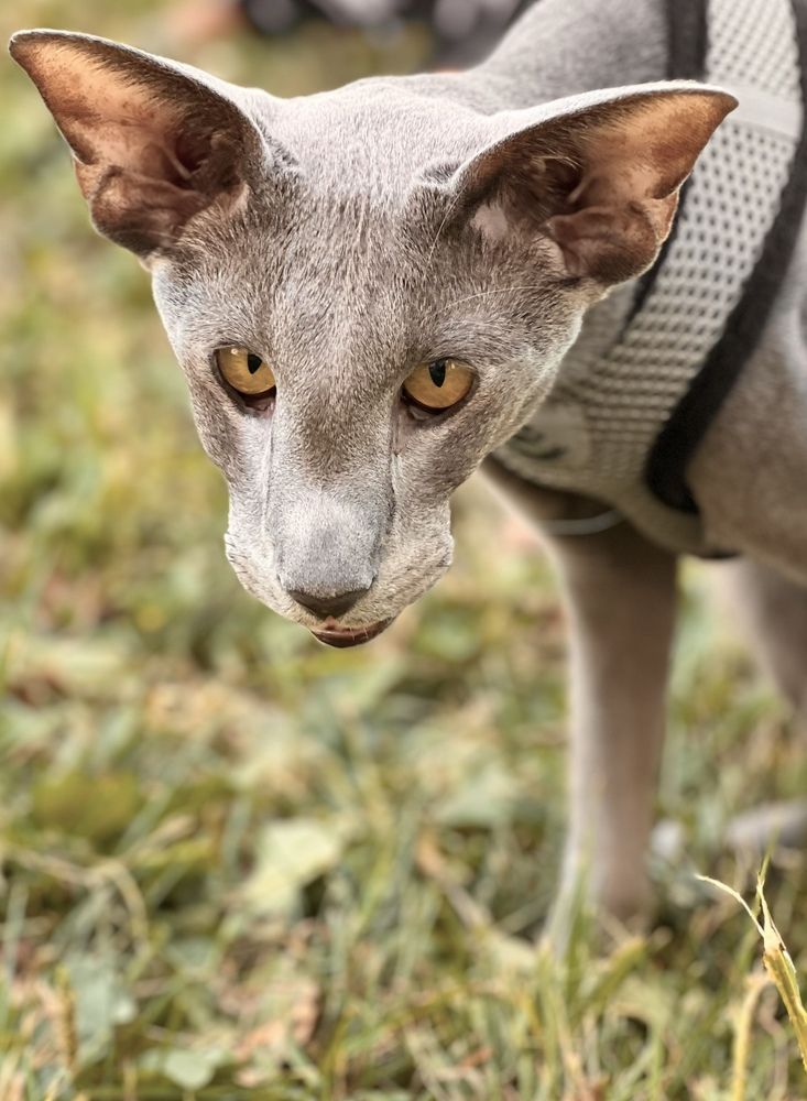 Photograph by Светлана Моисеева