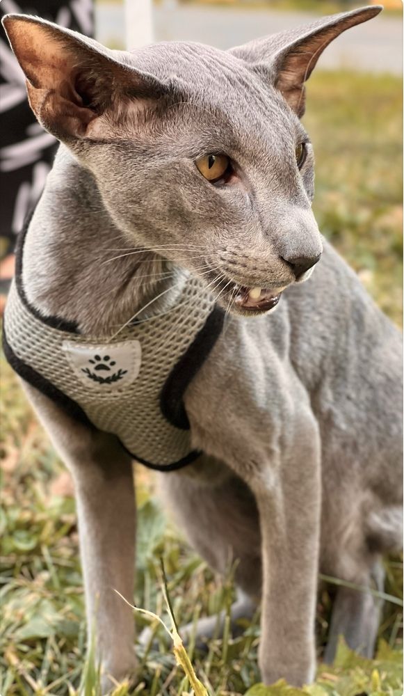 Photograph by Светлана Моисеева