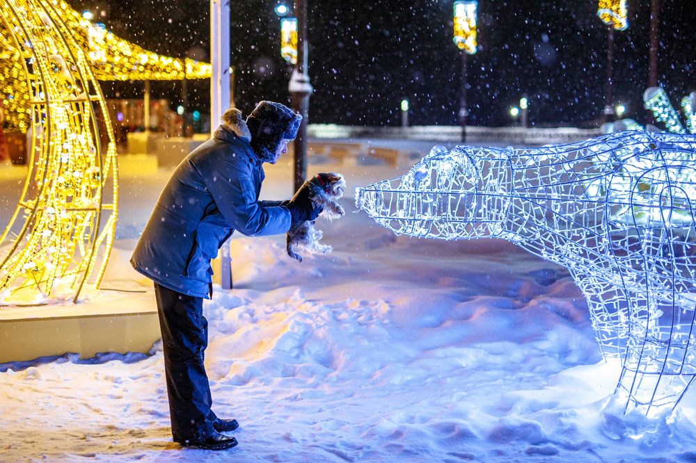 Photograph by Григорий Шишонков