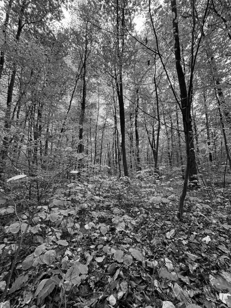 Photograph by Александр Мельниченко