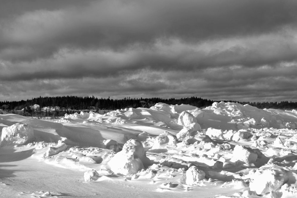 Фотография автора Оксана Льдинина