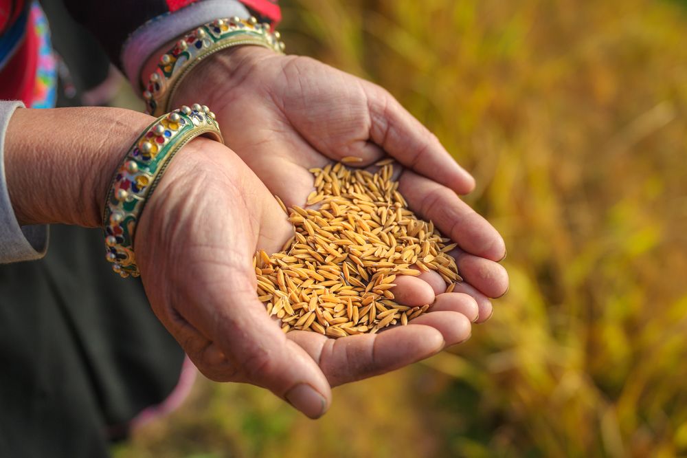 Фотография автора Kaznov Stanislav