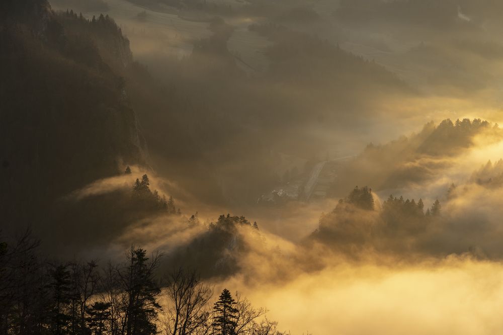 Photograph by Sebastyon