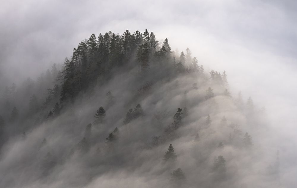 Photograph by Sebastyon