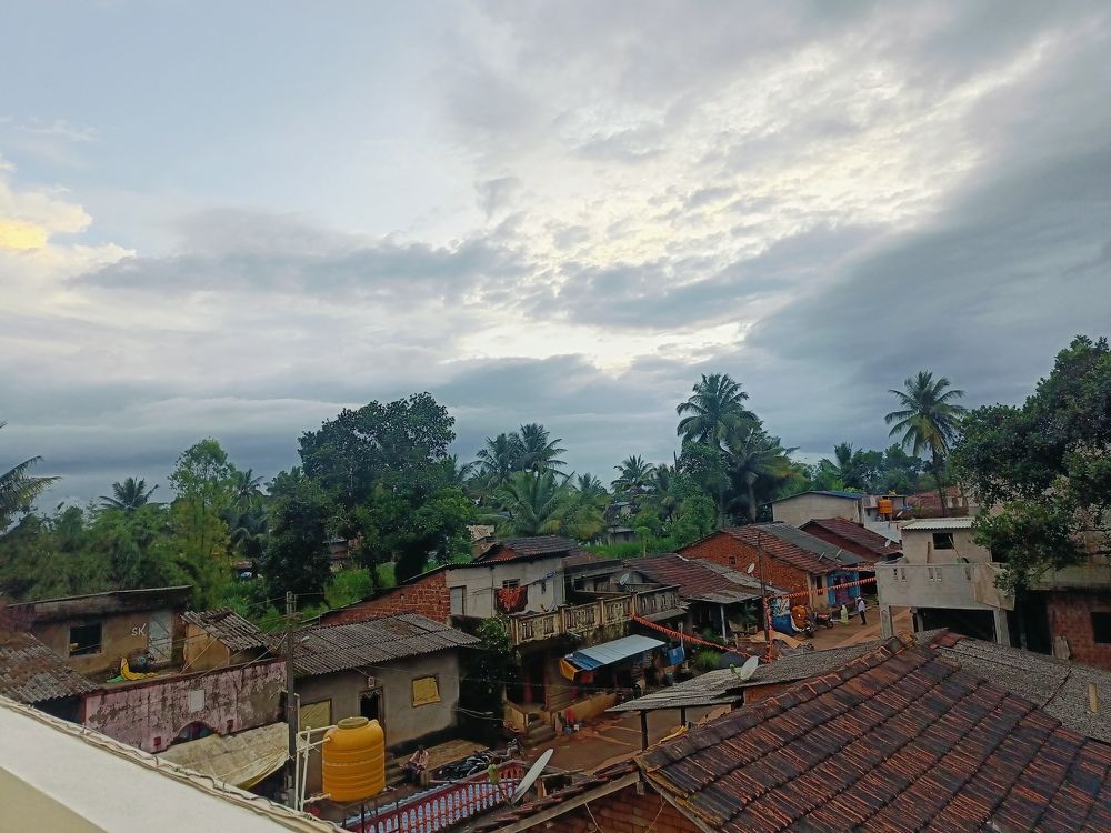 Photo #11563631