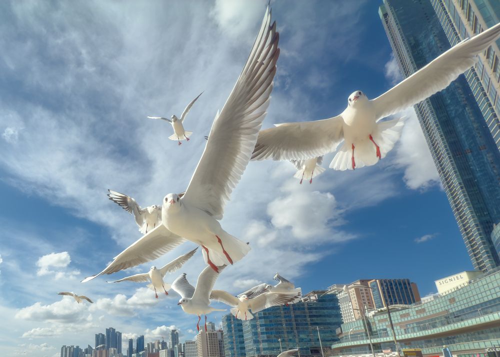 Фотография автора Kaznov Stanislav