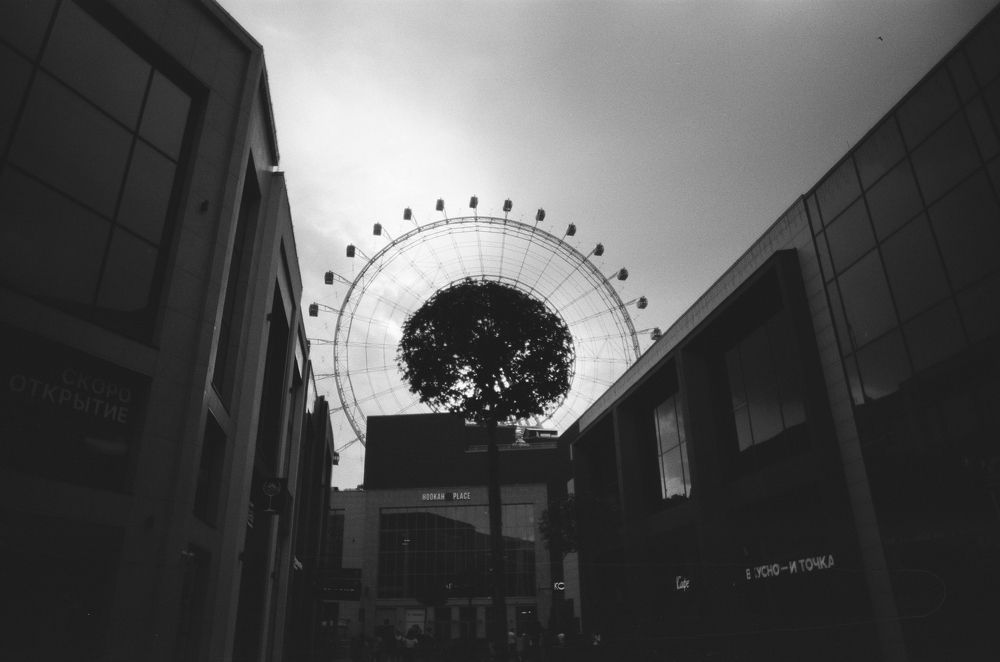 Photograph by Алексей