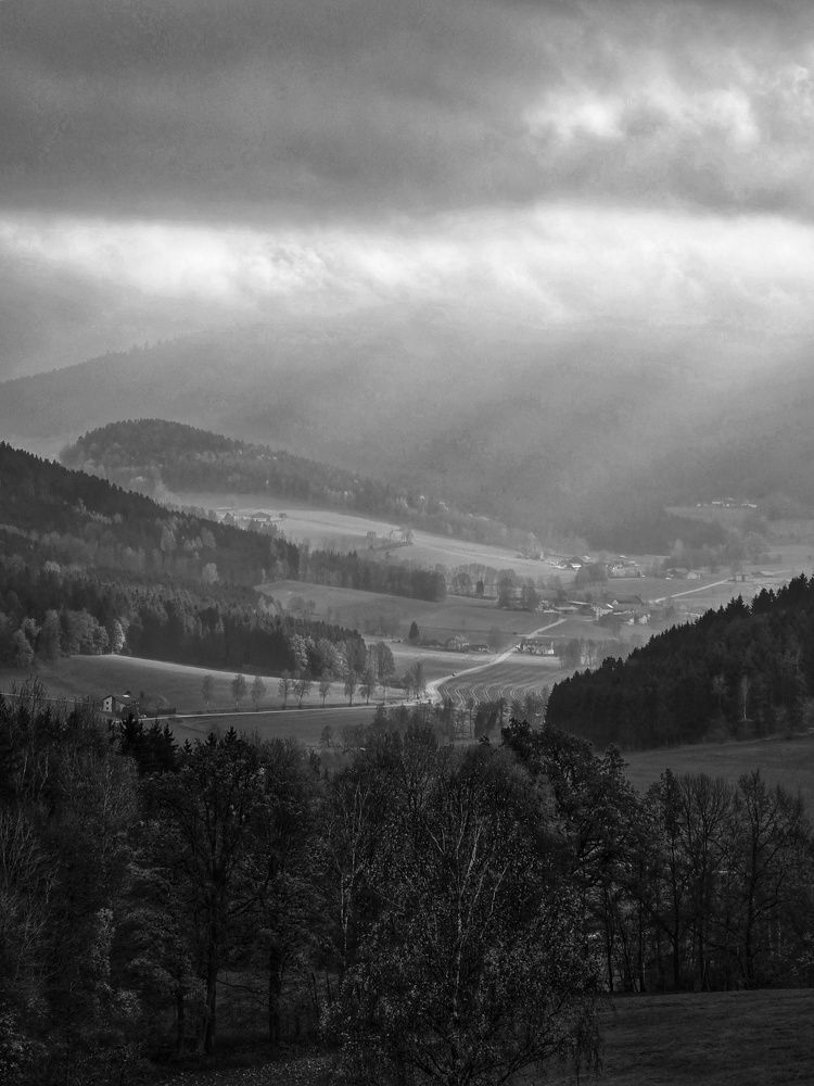 Photograph by Светлана