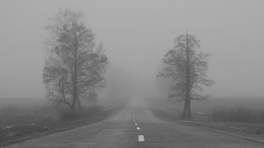 Фотография автора Александр Буренко