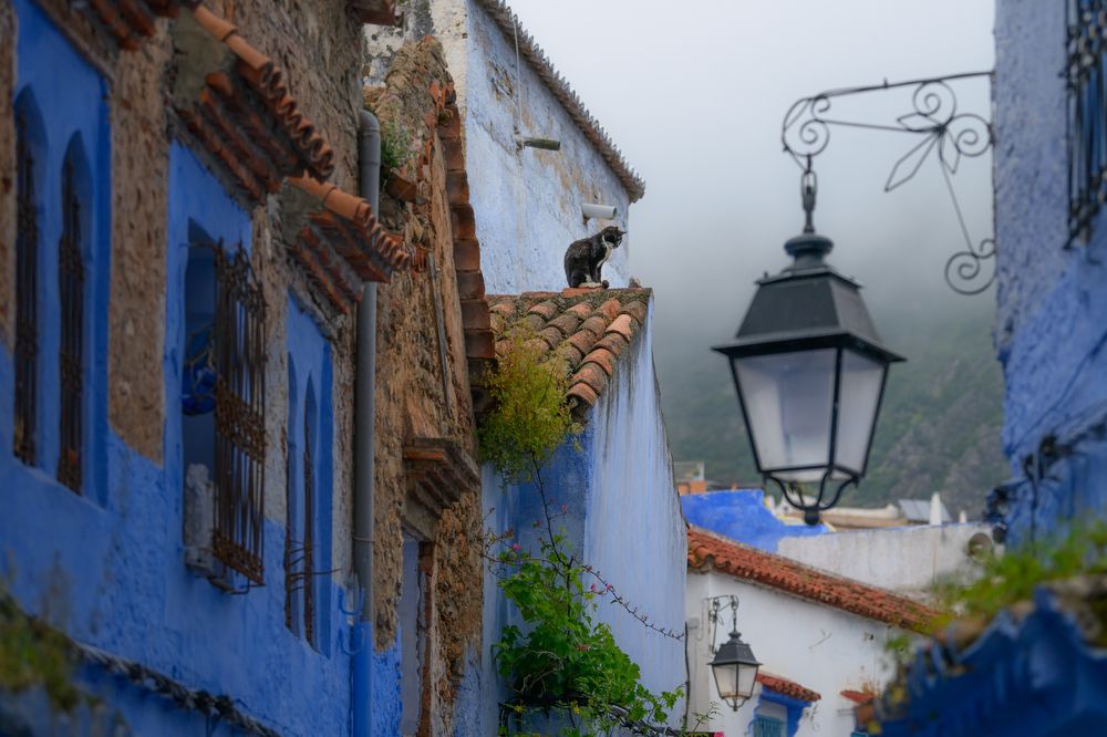 Фотография автора Kaznov Stanislav