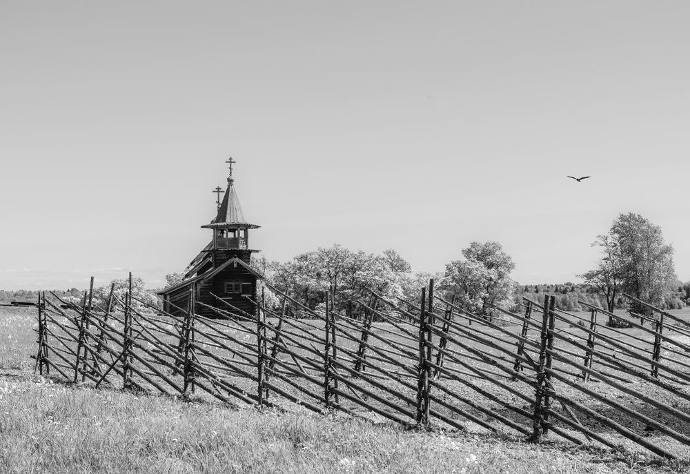 Фотография автора Александр Буренко
