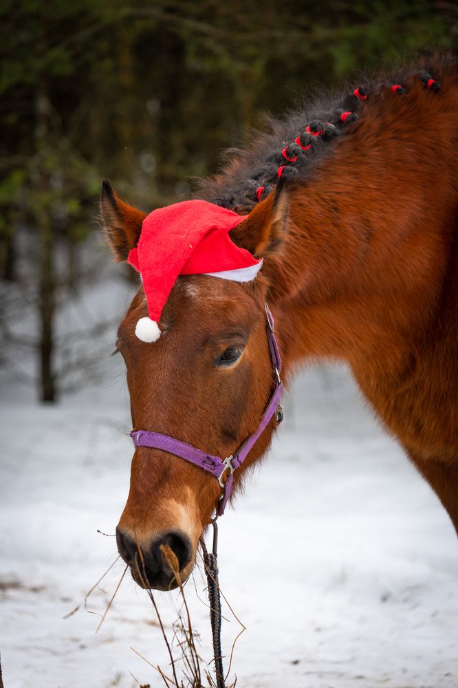 Photograph by Диана Бородзе