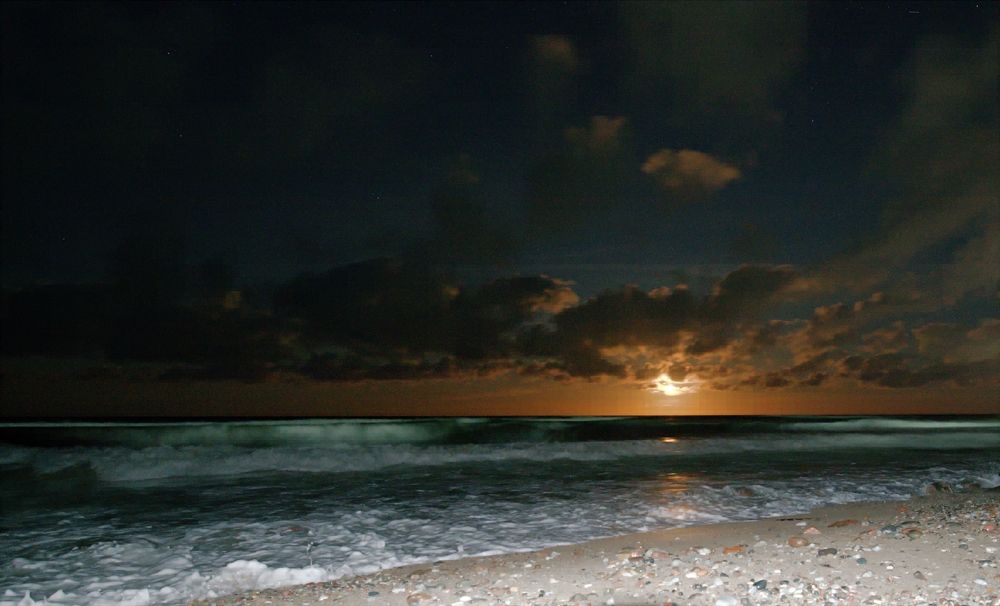 Photograph by Андрей Антипатров