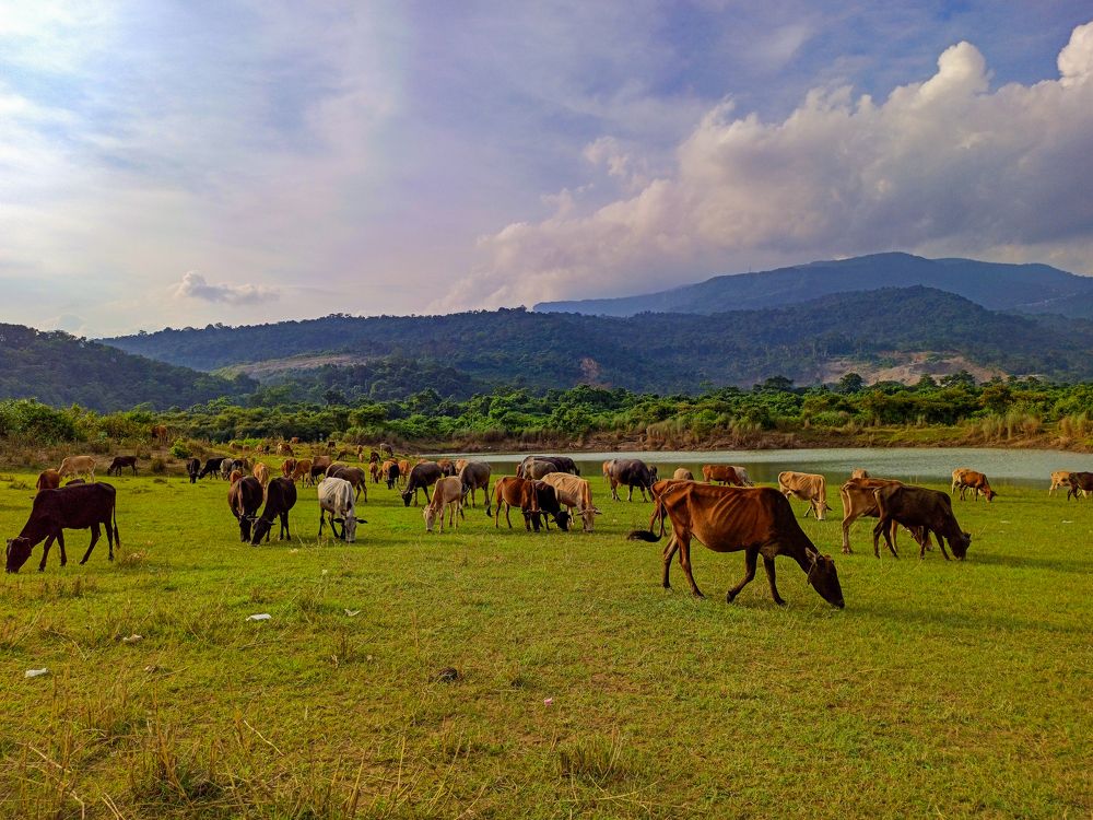 Photograph by Md Nader Ahmed Rimon