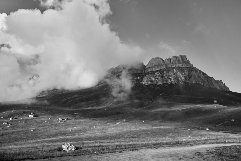 Photograph by Элина Зеленая