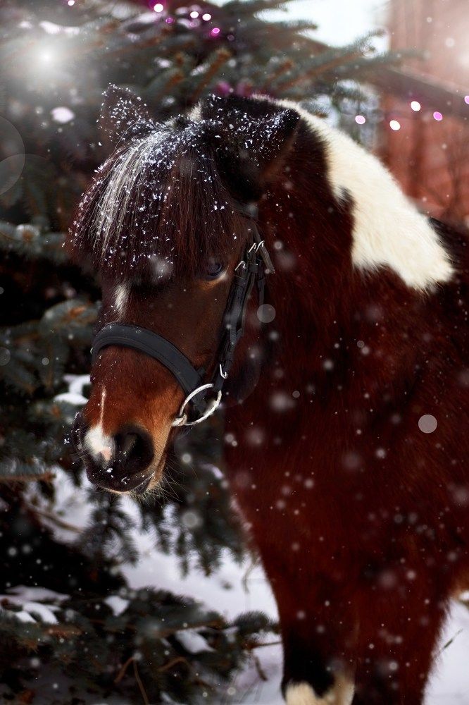 Photograph by Natalya Gracheva