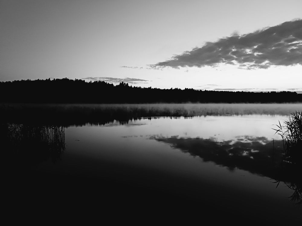 Photo #11563889