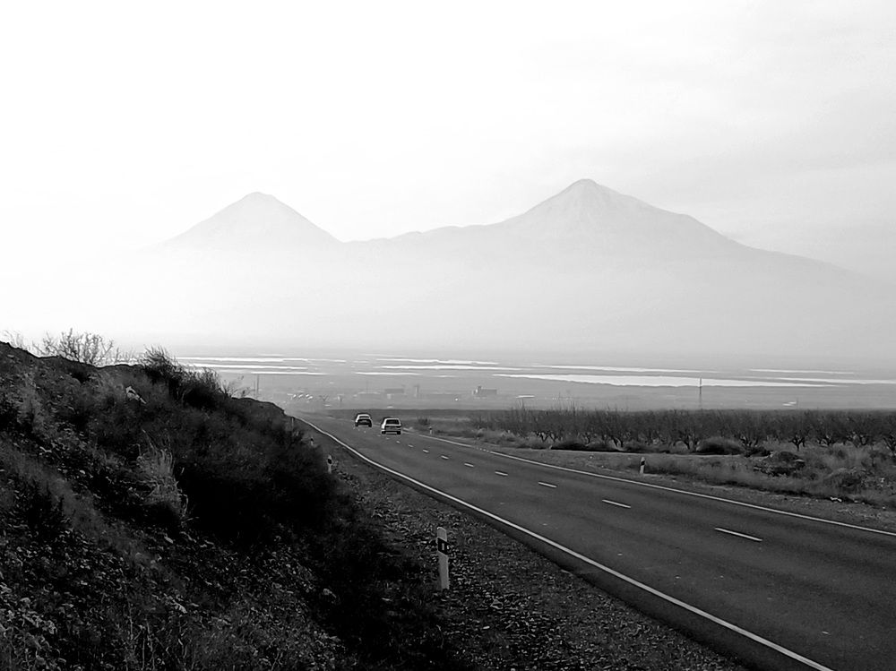 Photo #11563916