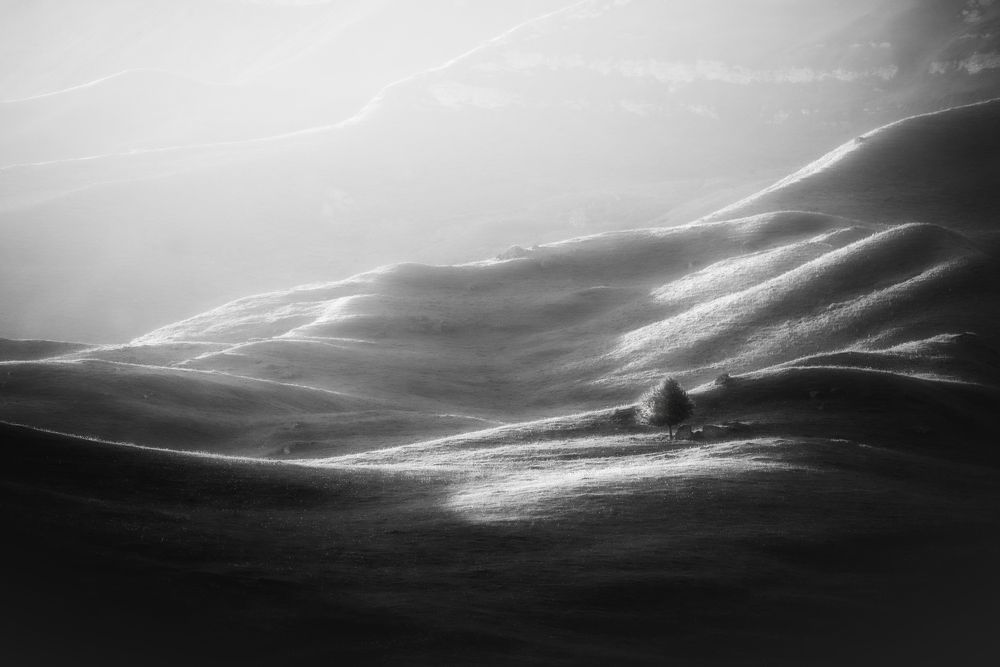 Photograph by Alexander Ornatskiy