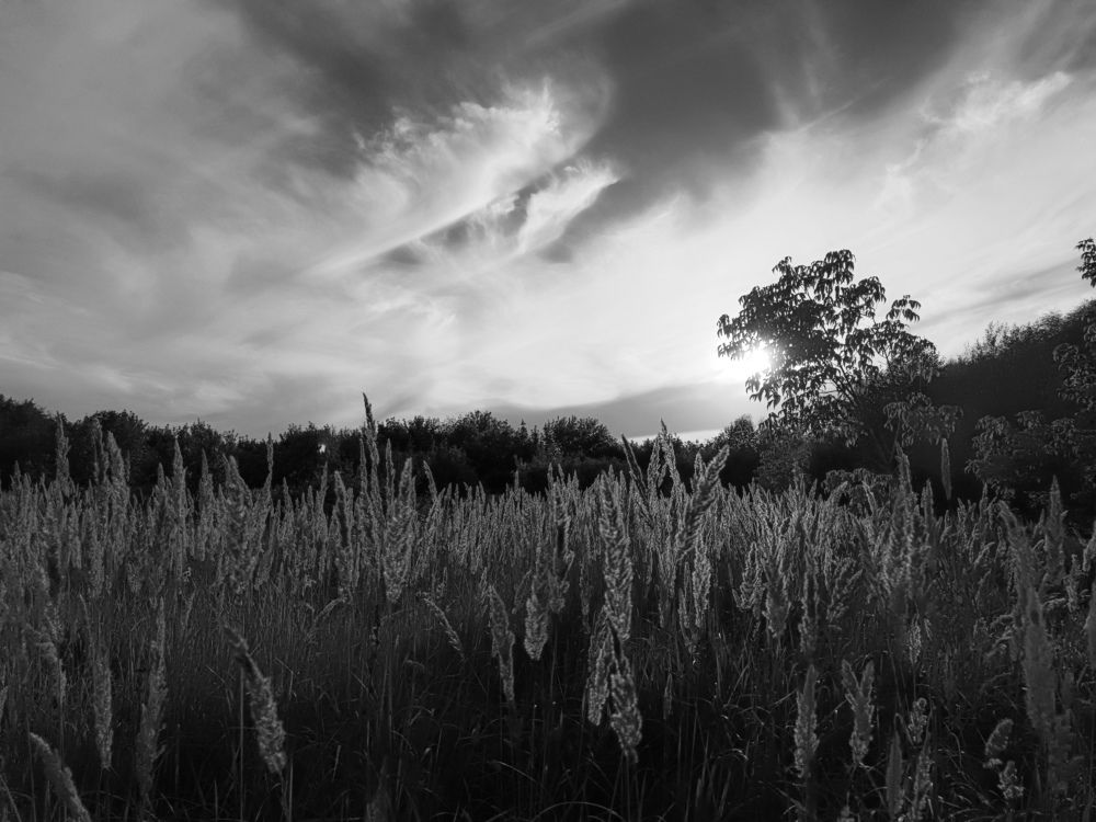 Фотография автора Ольга Кунакова