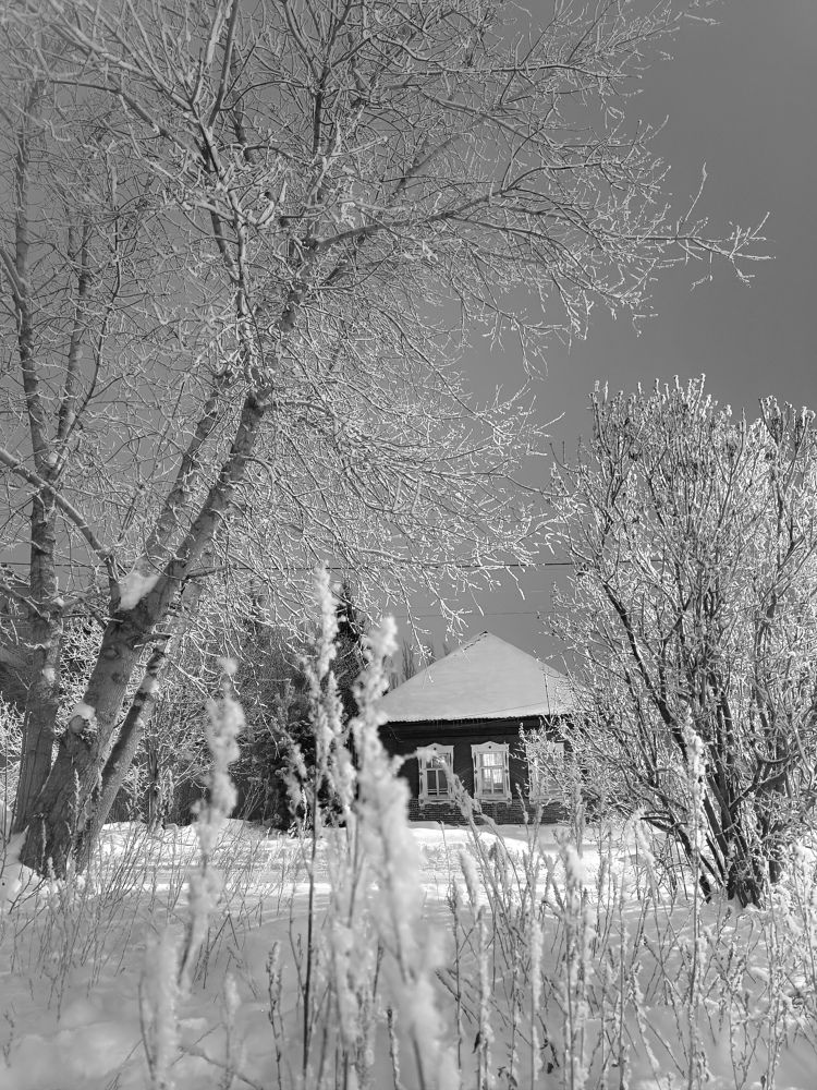 Фотография автора Ольга Кунакова