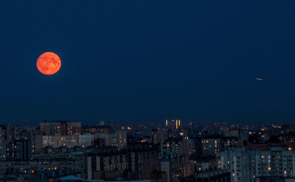 Photograph by Елена Данченко