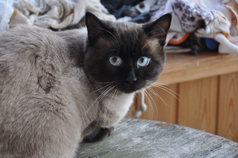 Photograph by Евгений Захаров