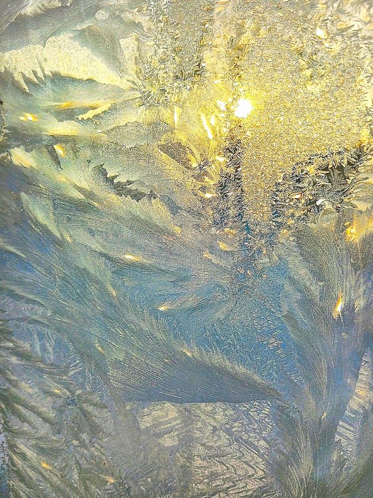 Photograph by София Бояринцева
