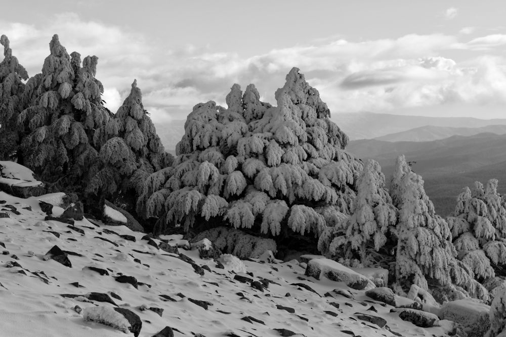 Photograph by Mohamed Haddad