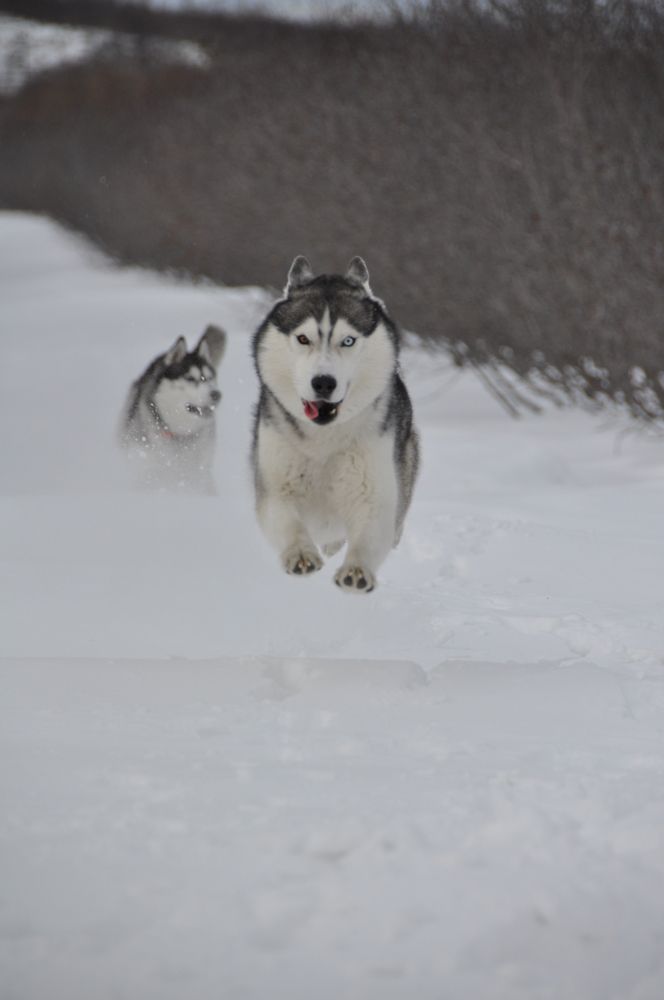 Photograph by Евгений Захаров