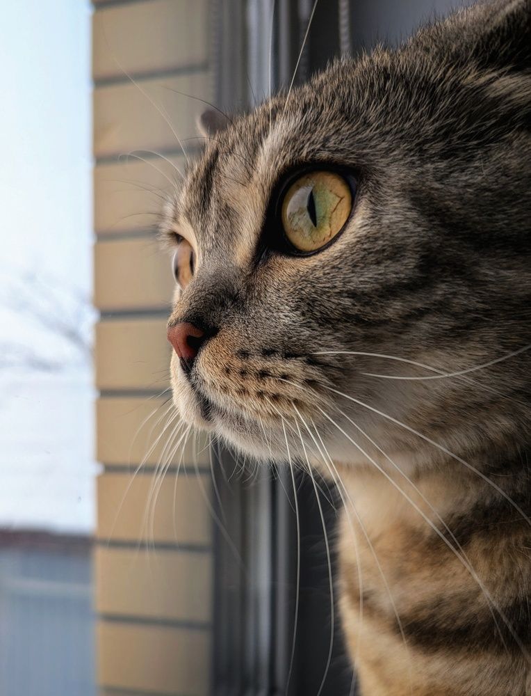 Photograph by AlexaL