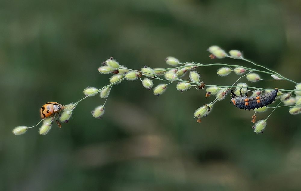 Photograph by Кристина Рыбина