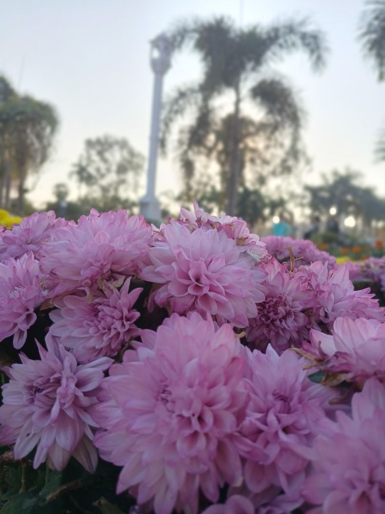 Photo #11564129