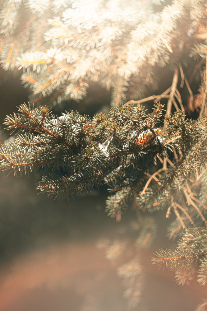 Photograph by Егор Слесарев