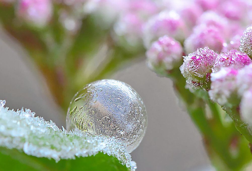 Photograph by Marjo Steffen