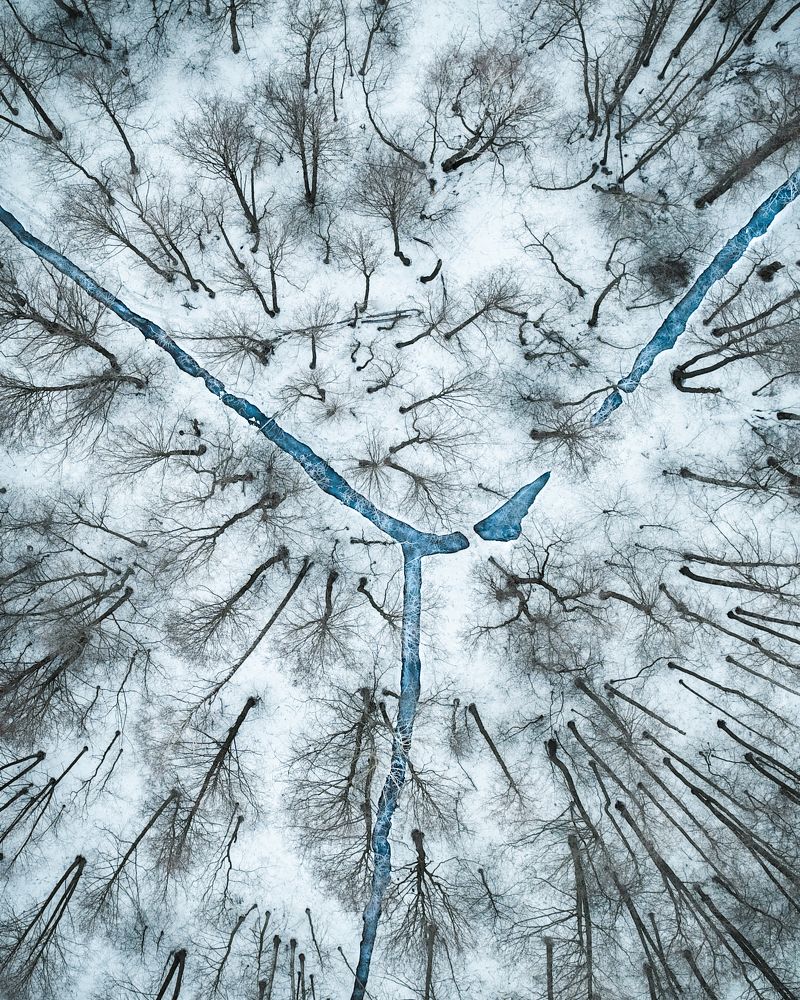 Photograph by Alina Yantsen