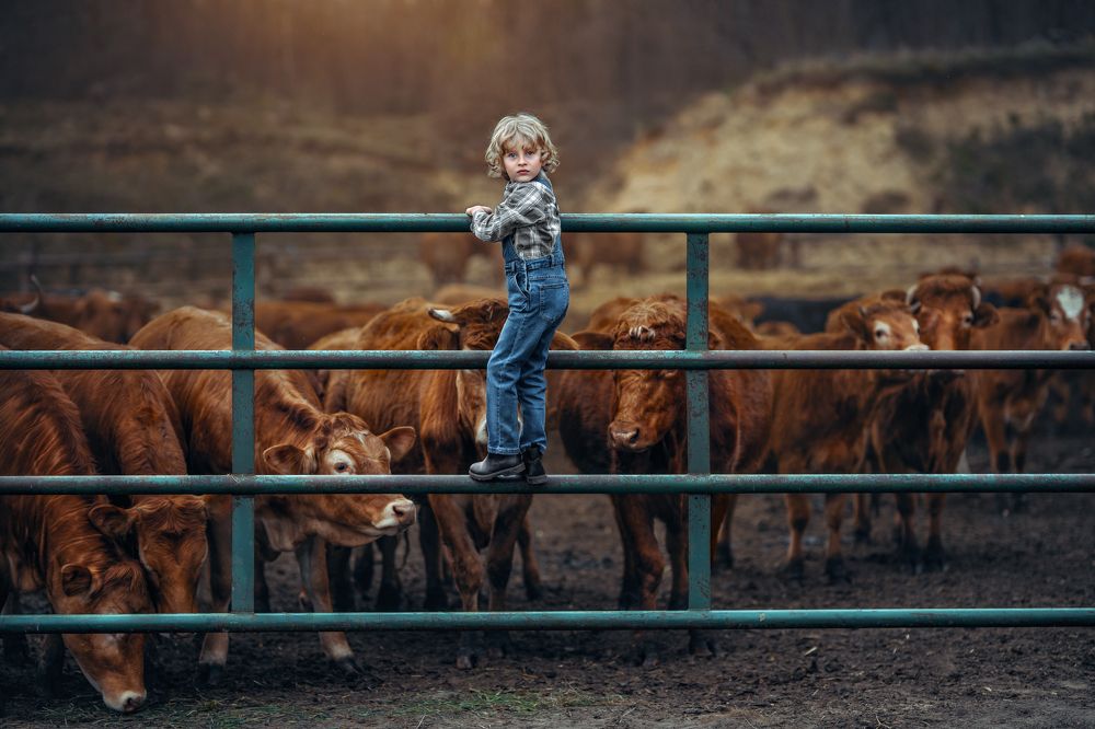 Фотография автора Kasia Kapała