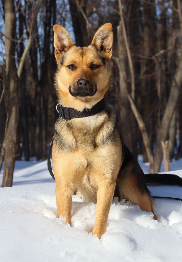 Photograph by Елена Рудкевич