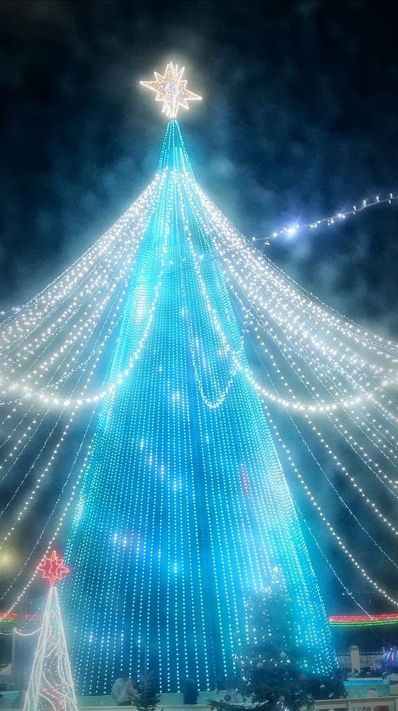 Photograph by Mishel Photographer