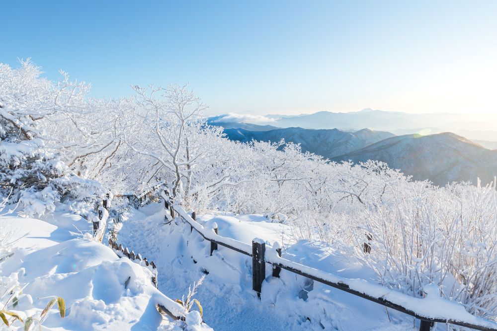 Photograph by Sinh Lê Văn