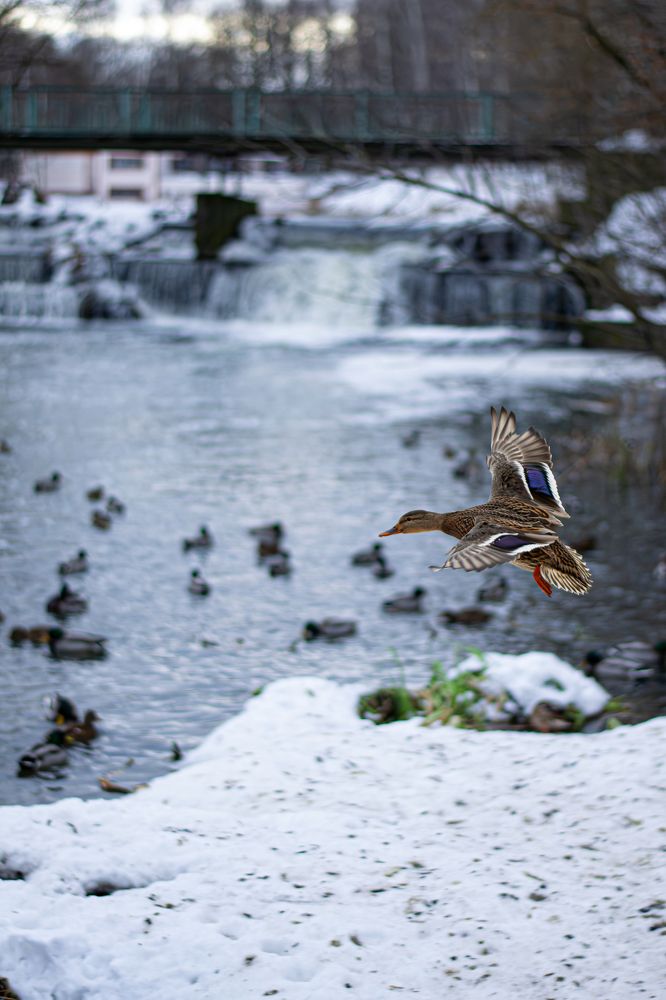 Photograph by Егор Слесарев