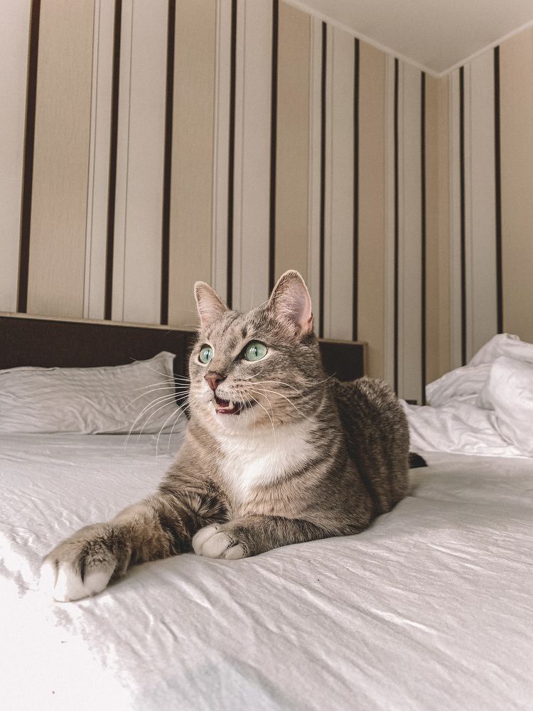 Photograph by Мария Петрова