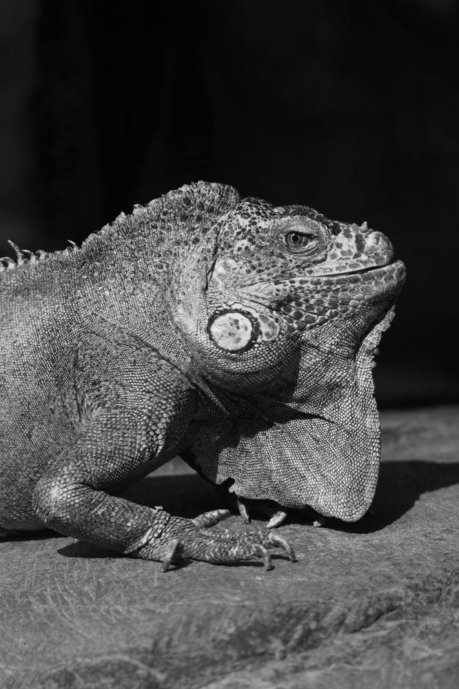 Photograph by Алексей Гунёв