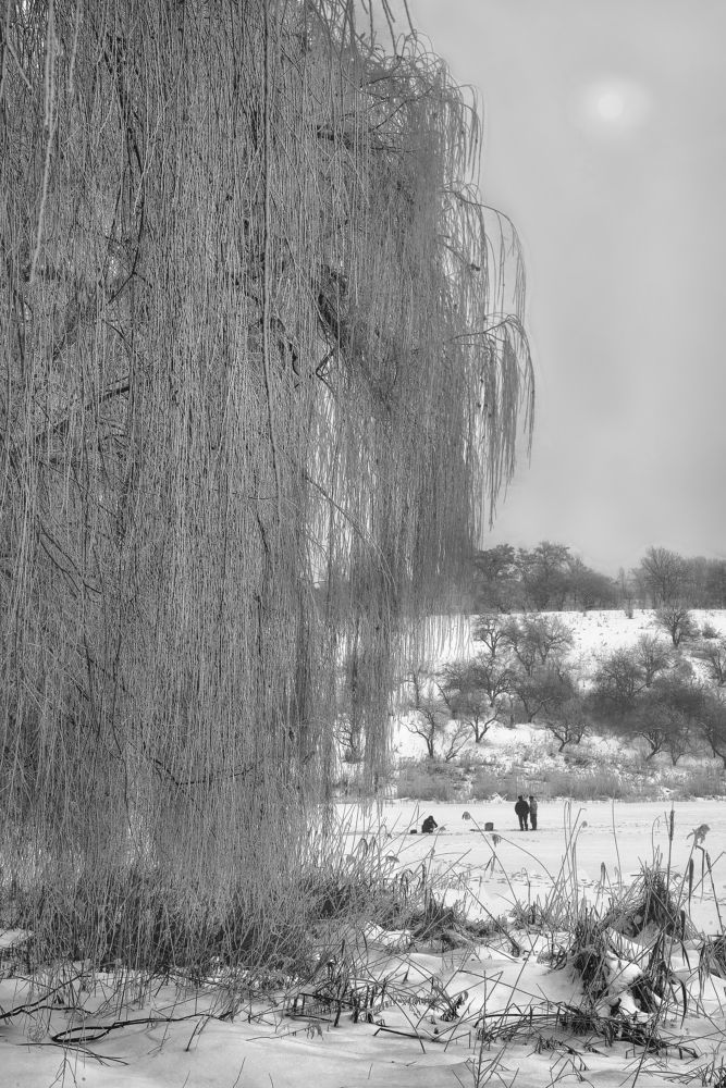 Photograph by Тетельман Давид