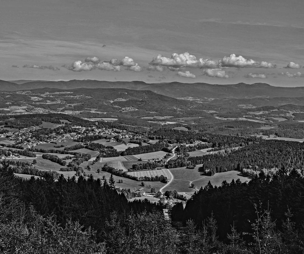 Photograph by Светлана