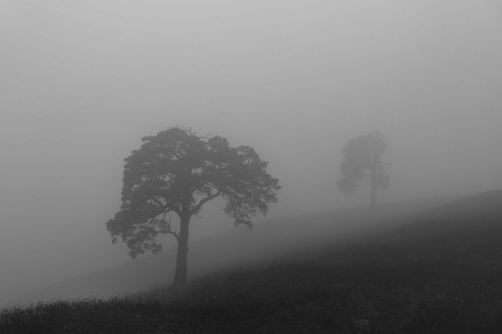 Photograph by Сергей Завьялов