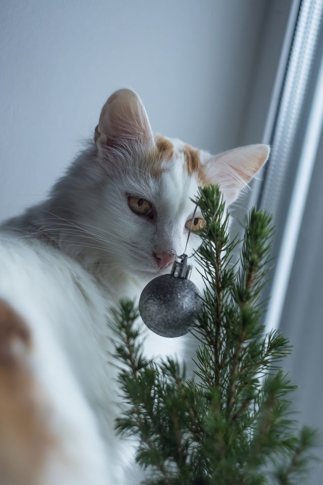 Photograph by Хабаров Сергей