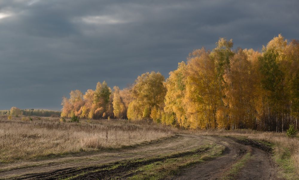 Photograph by Валерий Туманов