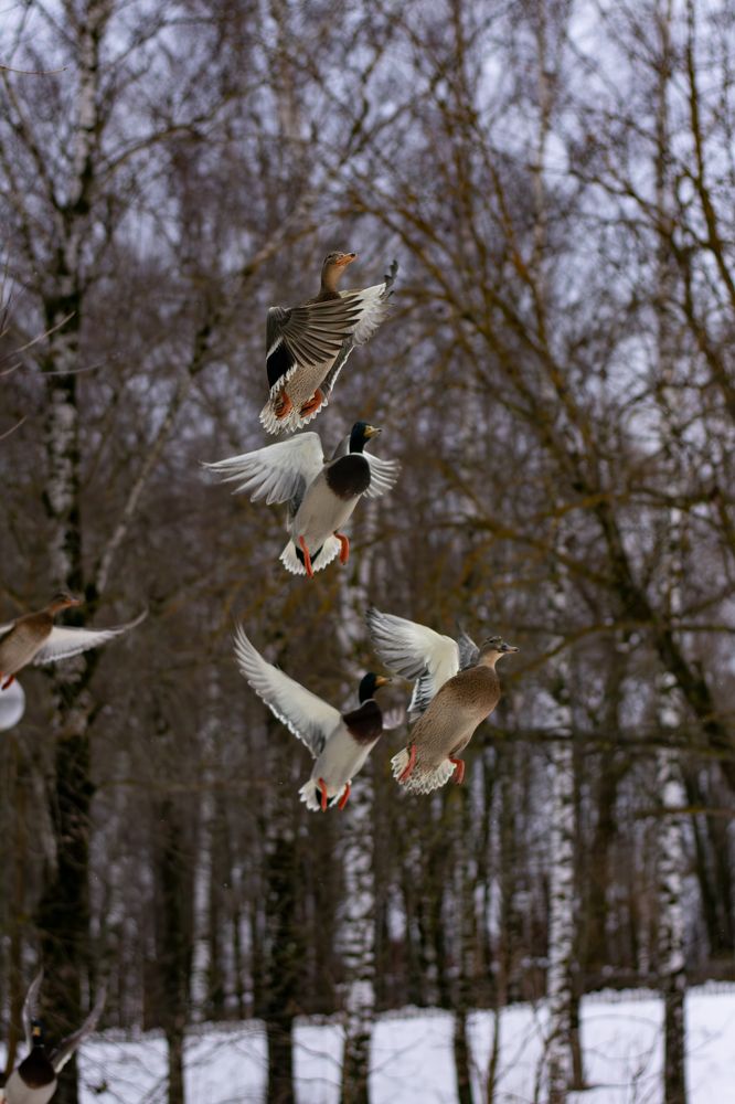 Photograph by Егор Слесарев